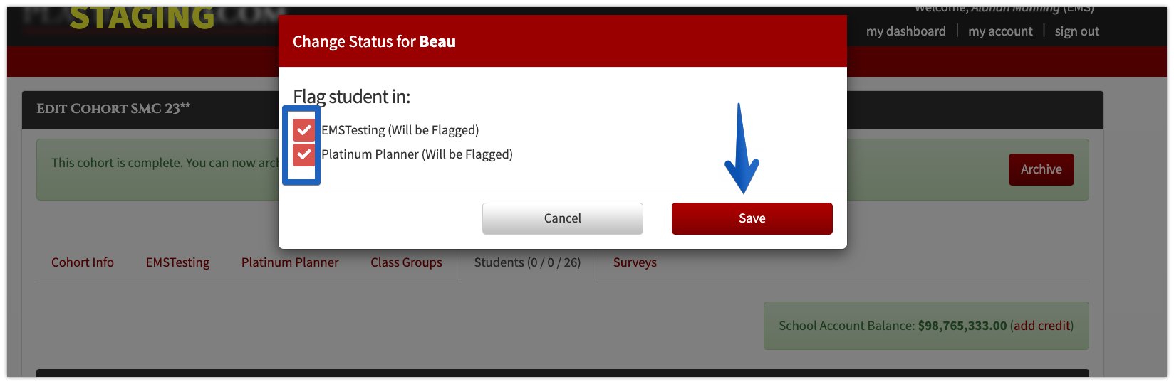 2:1 flag checkboxes.png