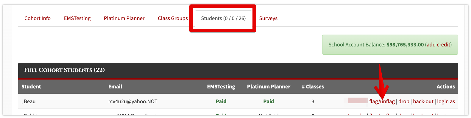 2:1 flag student in cohort.png
