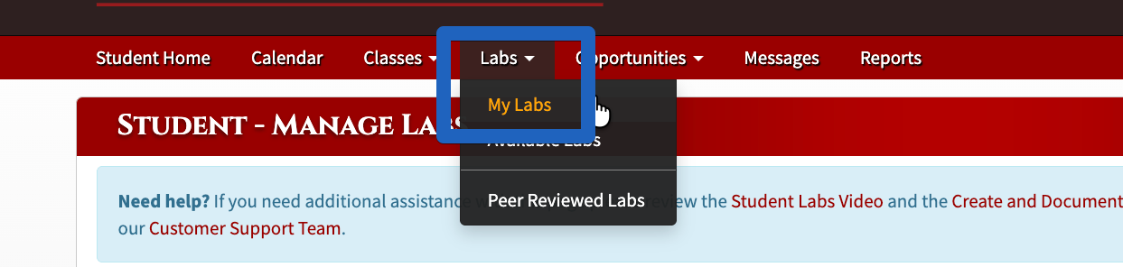 1:15 1-my labs.png